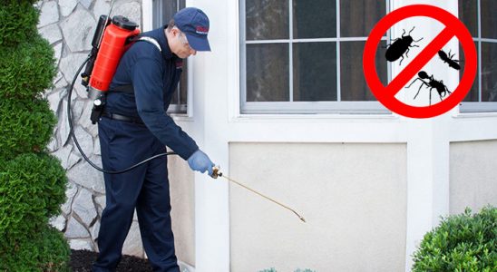 Ağlı Karınca İlaçlama böcek ilaçlama ve haşere kontrolü — ilaclama-tr.com